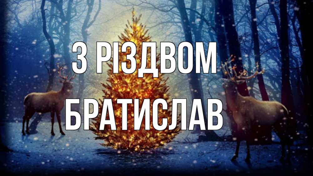 Открытка на каждый день з підписом, Братислав З Різдвом олени, новогодняя елка Прикольна листівка з побажанням онлайн скачати безкоштовно 