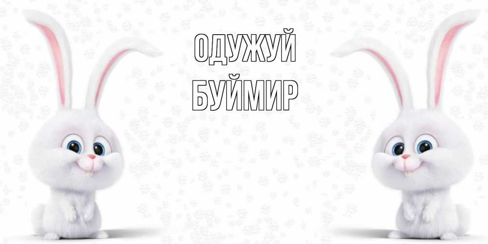 Открытка на каждый день з підписом, Буймир Одужуй не болей с зайцем Прикольна листівка з побажанням онлайн скачати безкоштовно 