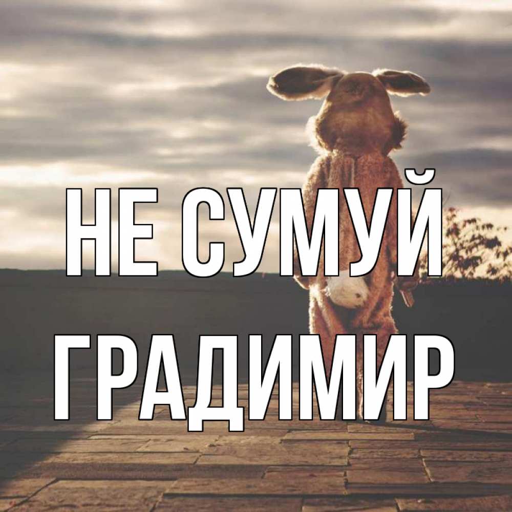 Открытка на каждый день з підписом, Градимир Не сумуй со спины Прикольна листівка з побажанням онлайн скачати безкоштовно 