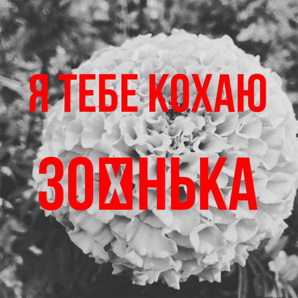 Открытка на каждый день з підписом, Зоєнька Я тебе кохаю подпись Прикольна листівка з побажанням онлайн скачати безкоштовно 