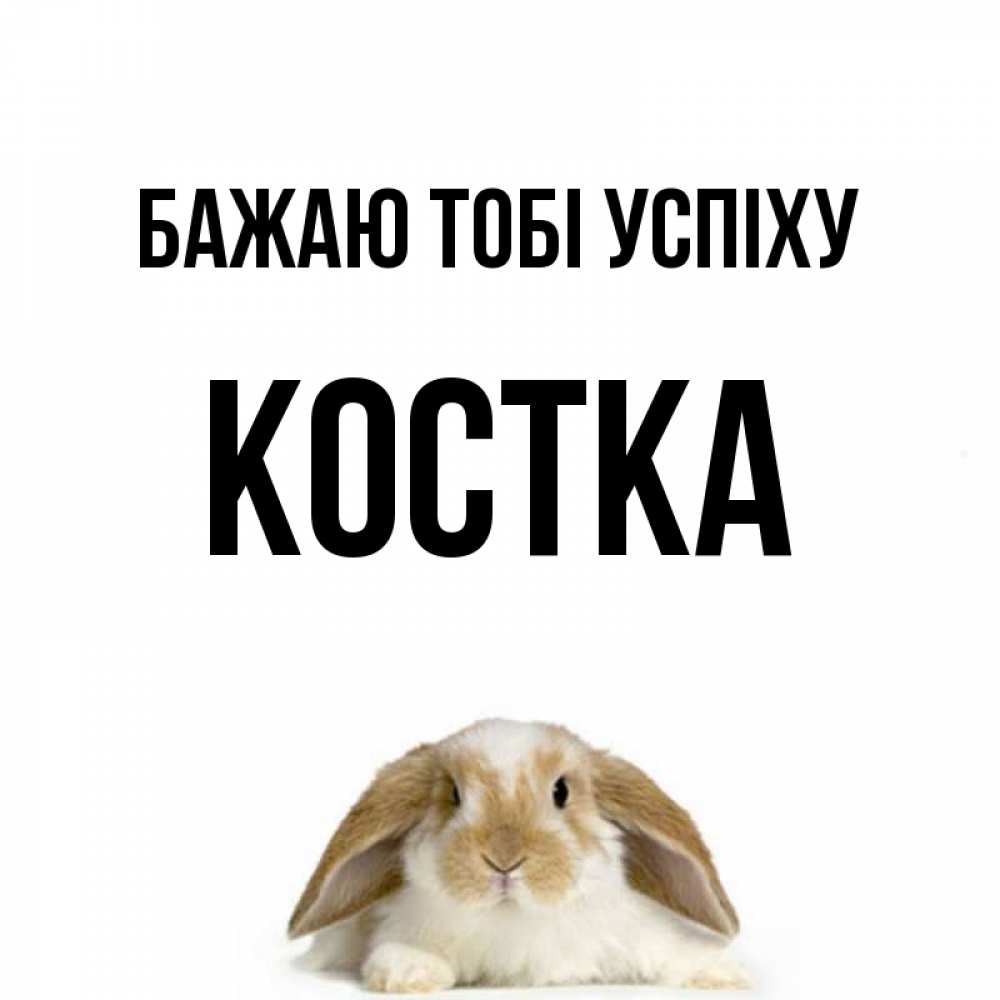 Открытка на каждый день з підписом, Костка Бажаю тобі успіху открытки с произвольным текстом который можно вставить в открытку и создать ее самостоятельно бесплатно онлайн Прикольна листівка з побажанням онлайн скачати безкоштовно 