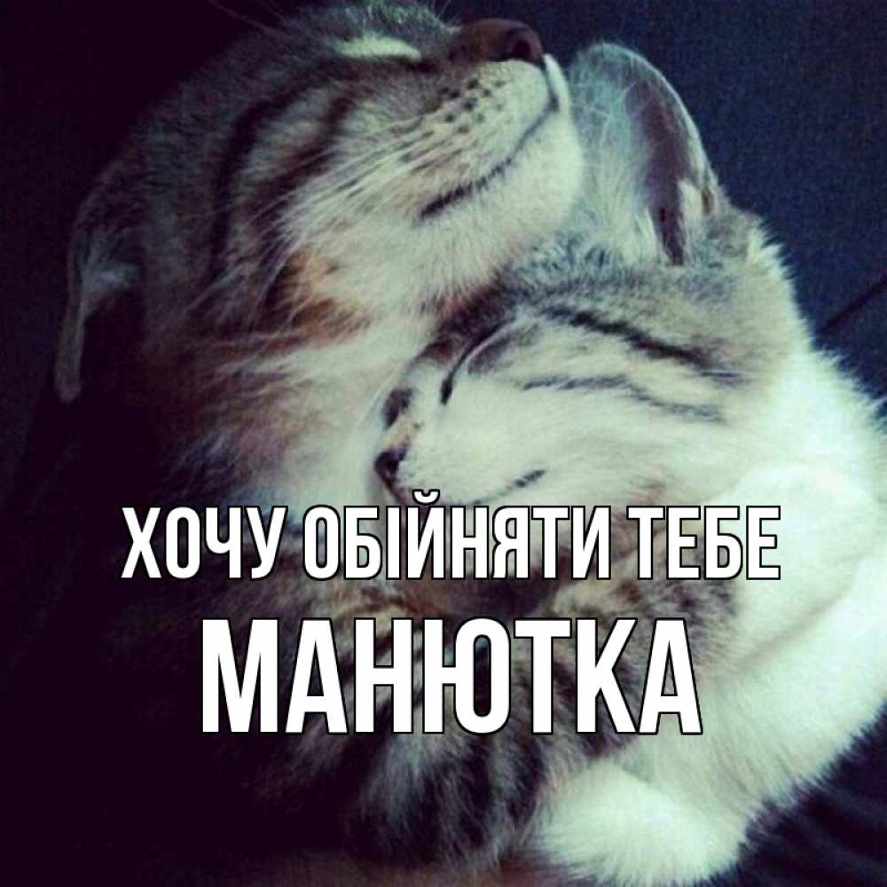 Открытка на каждый день з підписом, Манютка Хочу обійняти тебе полосатики Прикольна листівка з побажанням онлайн скачати безкоштовно 