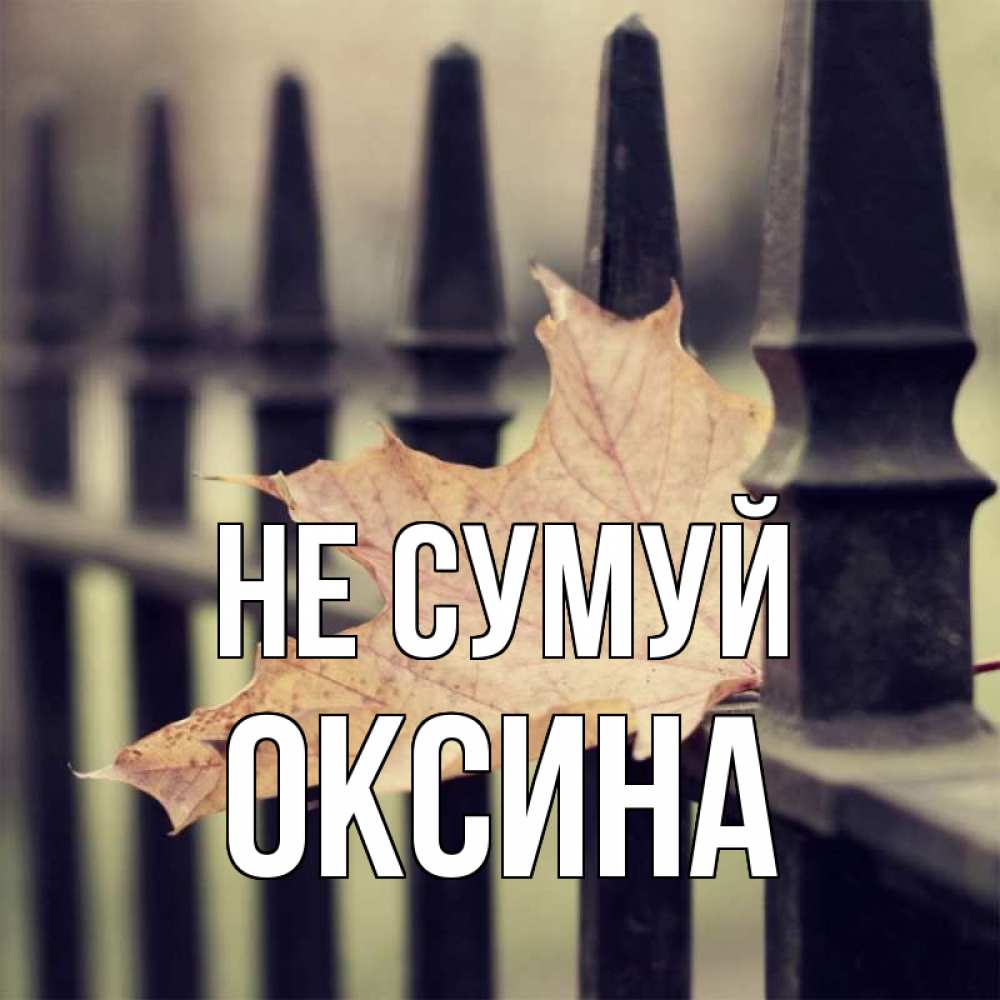 Открытка на каждый день з підписом, Оксина Не сумуй лист клена Прикольна листівка з побажанням онлайн скачати безкоштовно 
