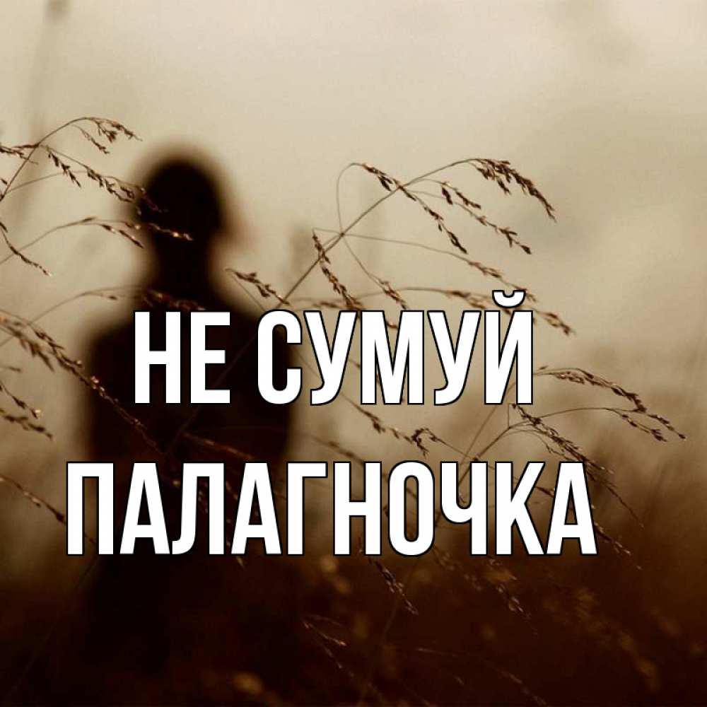 Открытка на каждый день з підписом, Палагночка Не сумуй грусть Прикольна листівка з побажанням онлайн скачати безкоштовно 