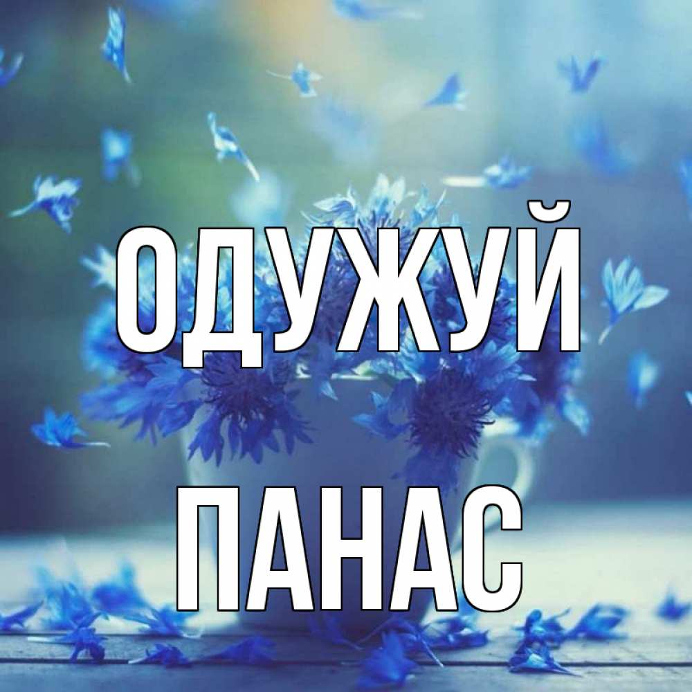Открытка на каждый день з підписом, Панас Одужуй кружка с зельем и цветами Прикольна листівка з побажанням онлайн скачати безкоштовно 