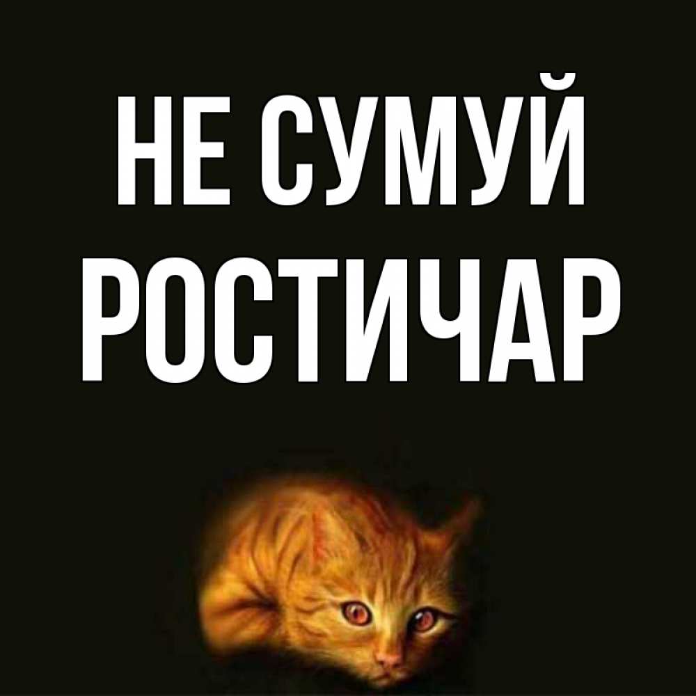 Открытка на каждый день з підписом, Ростичар Не сумуй лежащий кот в темноте Прикольна листівка з побажанням онлайн скачати безкоштовно 