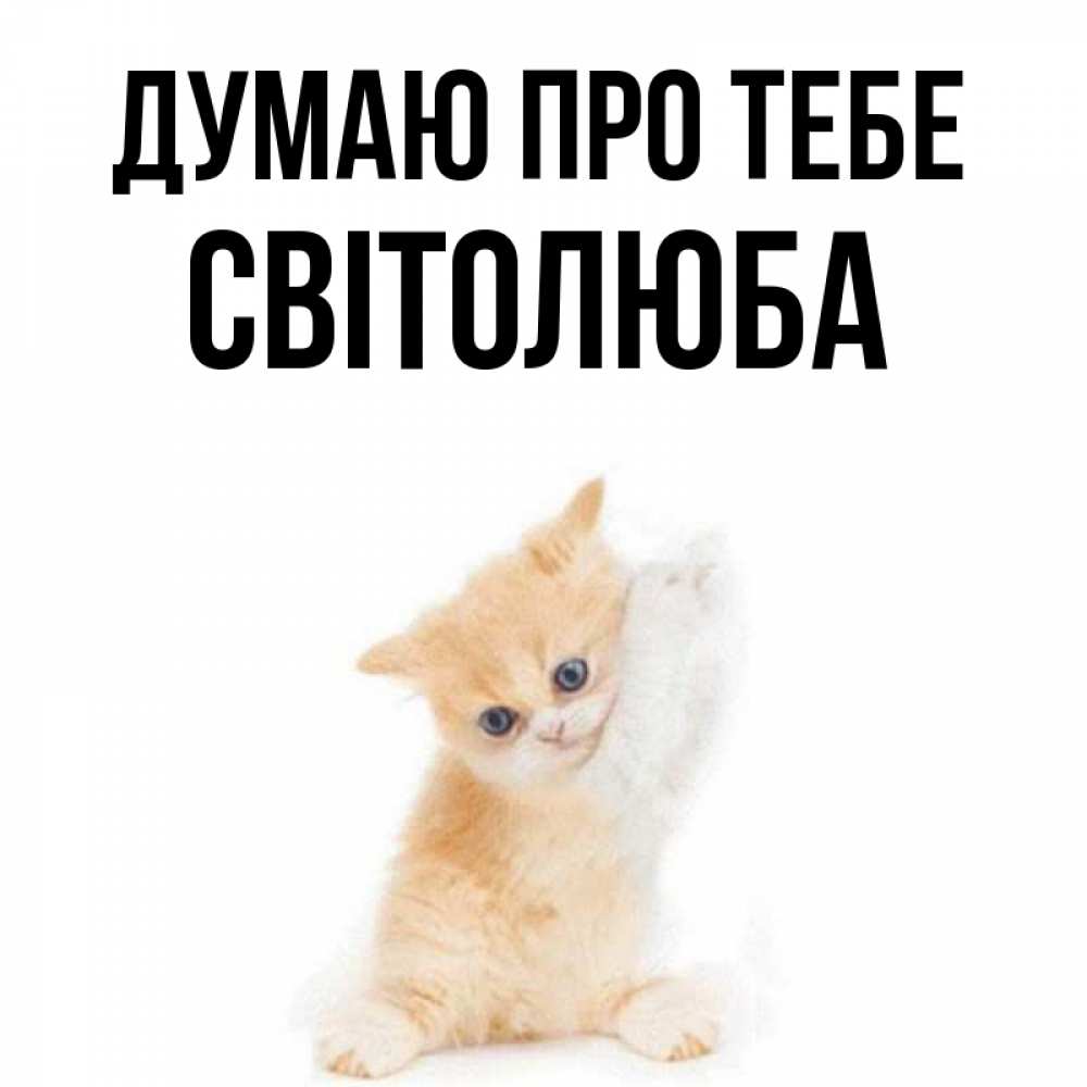 Открытка на каждый день з підписом, Світолюба Думаю про тебе зверушки и милота Прикольна листівка з побажанням онлайн скачати безкоштовно 