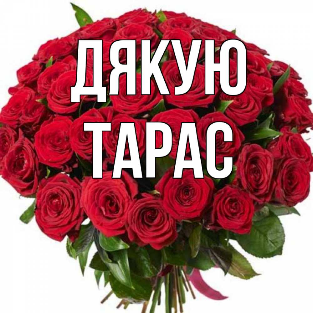 Открытка на каждый день з підписом, Тарас Дякую букет красных роз Прикольна листівка з побажанням онлайн скачати безкоштовно 