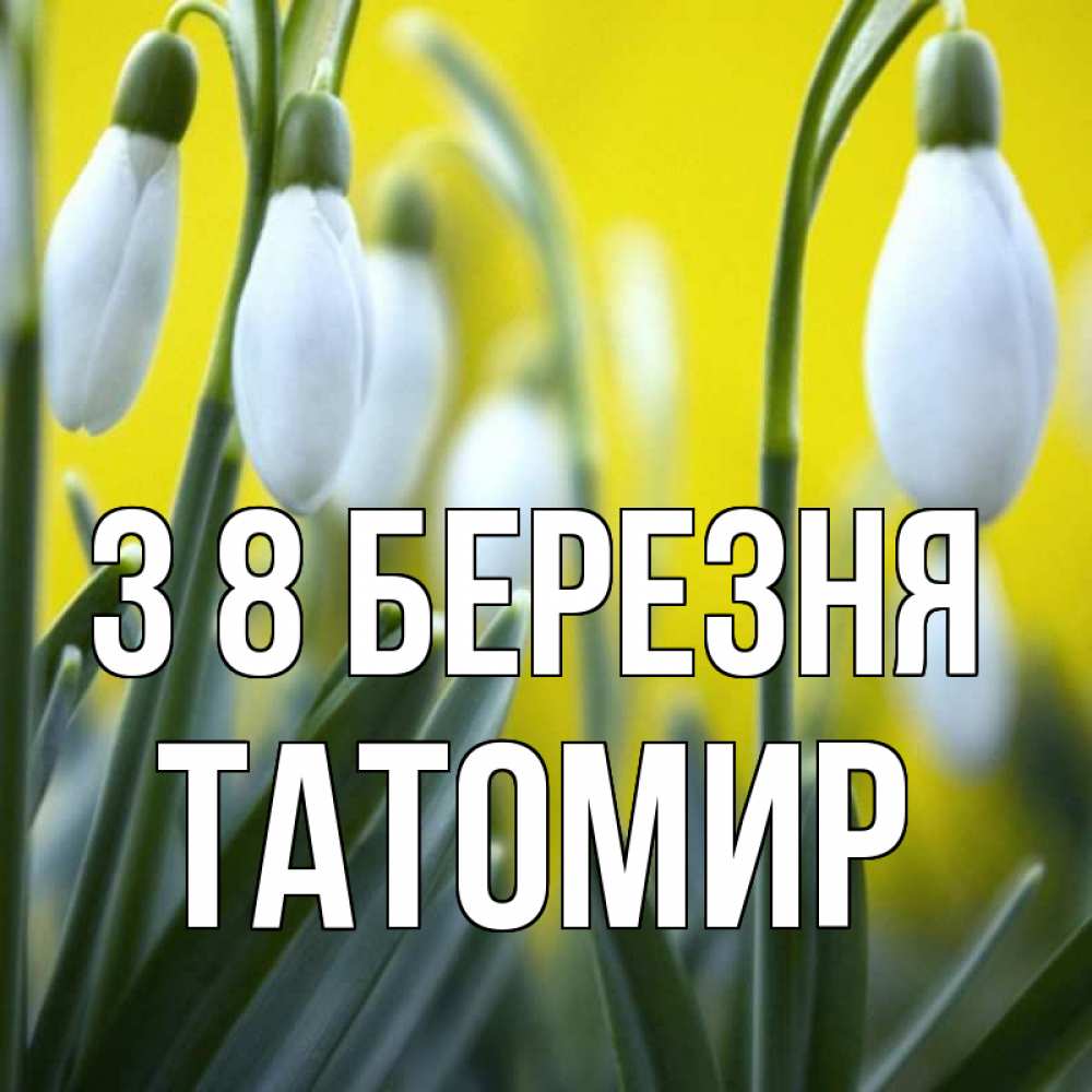 Открытка на каждый день з підписом, Татомир З 8 БЕРЕЗНЯ весенние цветы Прикольна листівка з побажанням онлайн скачати безкоштовно 
