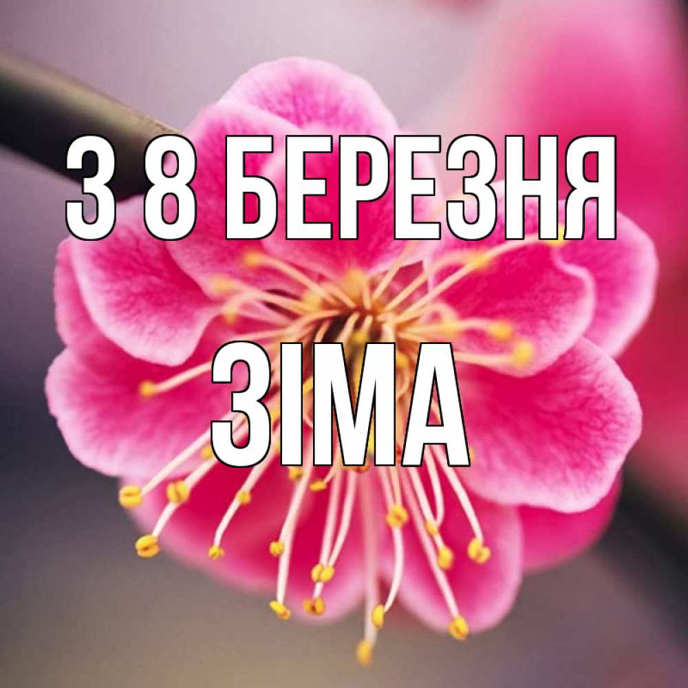 Открытка на каждый день з підписом, Зіма З 8 БЕРЕЗНЯ цветы Прикольна листівка з побажанням онлайн скачати безкоштовно 