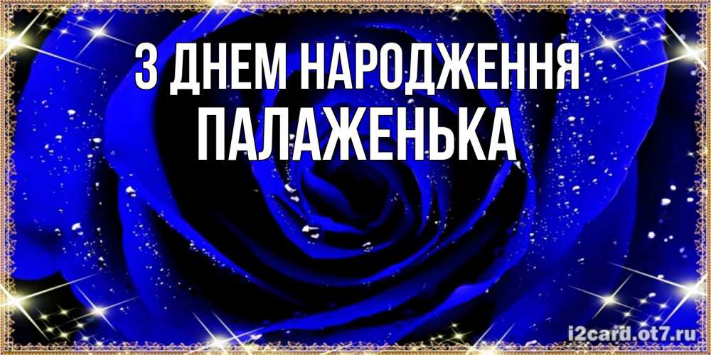 Открытка на каждый день з підписом, Палаженька З Днем народження голубые цветы в росе Прикольна листівка з побажанням онлайн скачати безкоштовно 