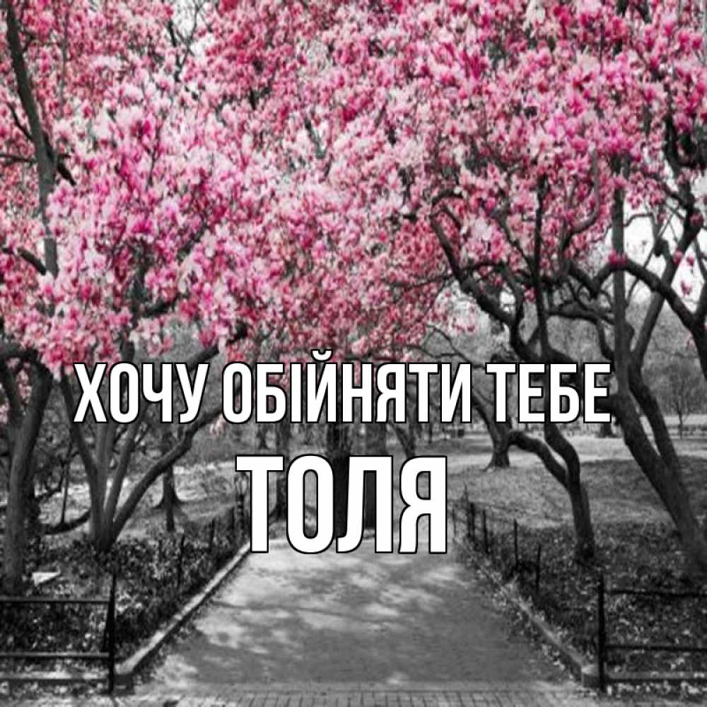 Открытка на каждый день з підписом, Толя Хочу обійняти тебе обработанное фото Прикольна листівка з побажанням онлайн скачати безкоштовно 