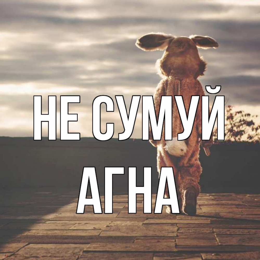 Открытка на каждый день з підписом, Агна Не сумуй со спины Прикольна листівка з побажанням онлайн скачати безкоштовно 