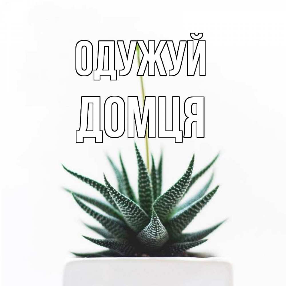 Открытка на каждый день з підписом, Домця Одужуй короче это непонятная колючка Прикольна листівка з побажанням онлайн скачати безкоштовно 