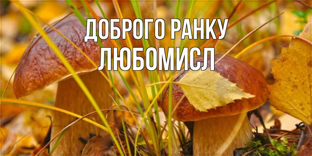 Открытка на каждый день з підписом, Любомисл Доброго ранку осенние грибы Прикольна листівка з побажанням онлайн скачати безкоштовно 