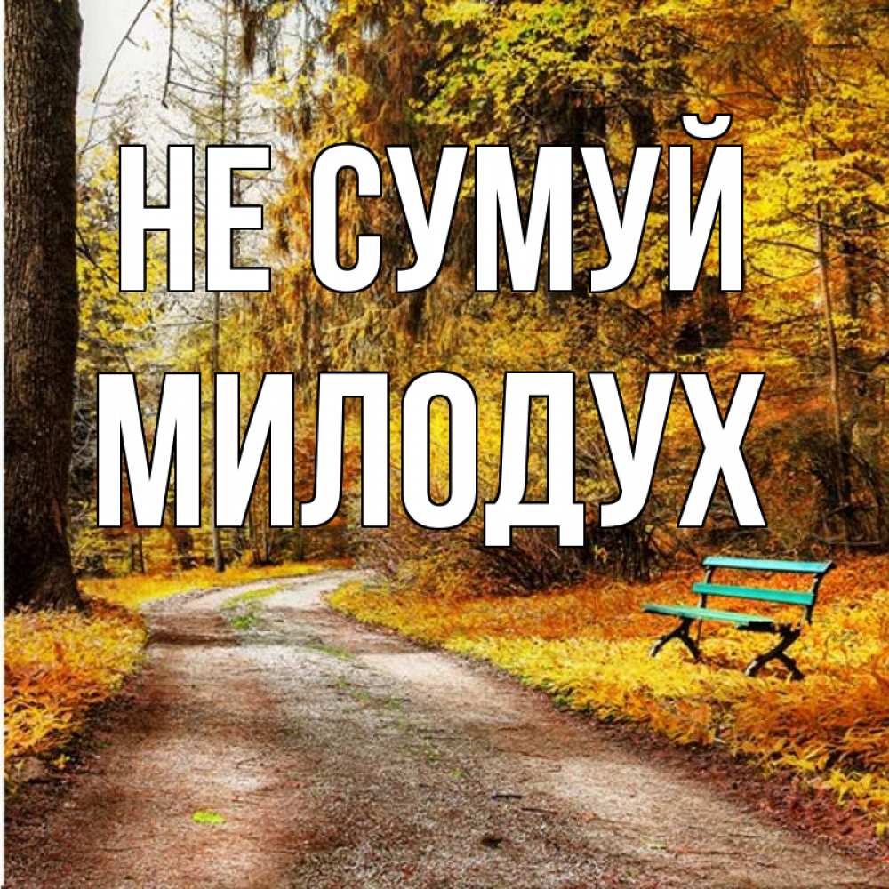 Открытка на каждый день з підписом, Милодух Не сумуй зеленая лавочка Прикольна листівка з побажанням онлайн скачати безкоштовно 
