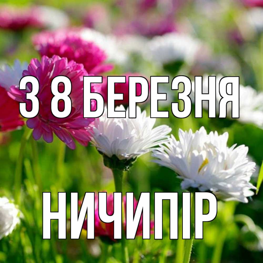 Открытка на каждый день з підписом, Ничипір З 8 БЕРЕЗНЯ международный женский день 1 Прикольна листівка з побажанням онлайн скачати безкоштовно 