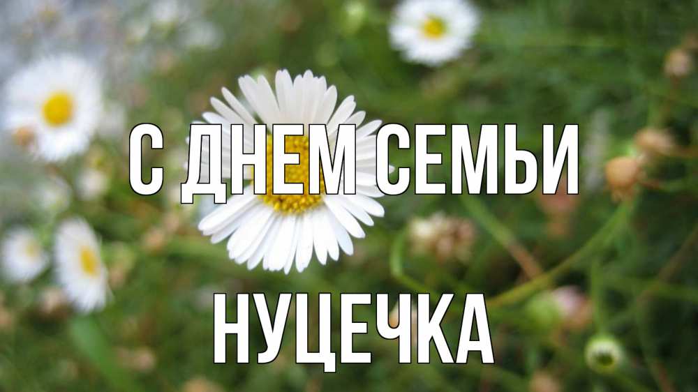 Открытка на каждый день з підписом, Нуцечка С днем семьи с днем семьи Прикольна листівка з побажанням онлайн скачати безкоштовно 
