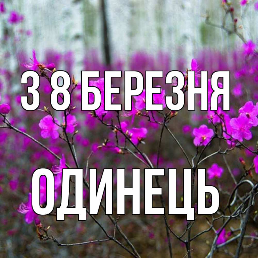 Открытка на каждый день з підписом, Одинець З 8 БЕРЕЗНЯ дикие цветы Прикольна листівка з побажанням онлайн скачати безкоштовно 
