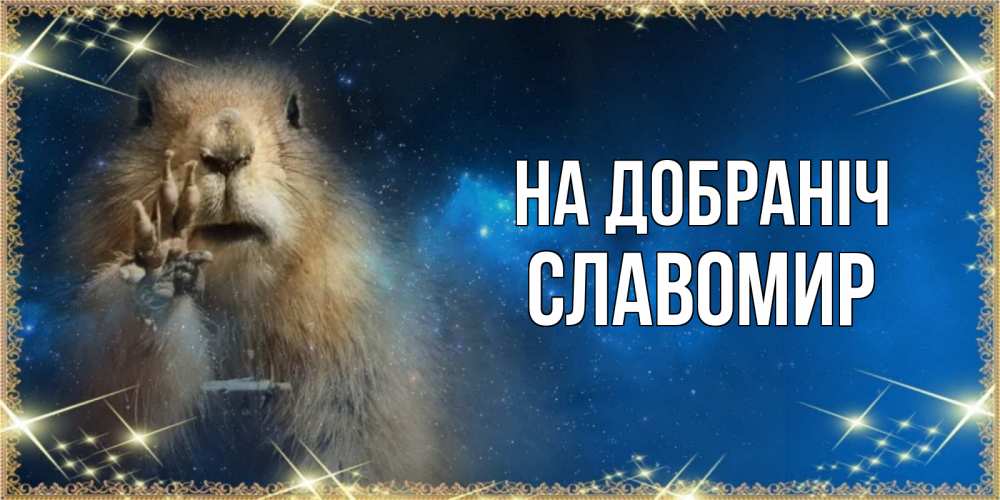 Открытка на каждый день з підписом, Славомир На добраніч спокойной ночи сладких снов Прикольна листівка з побажанням онлайн скачати безкоштовно 
