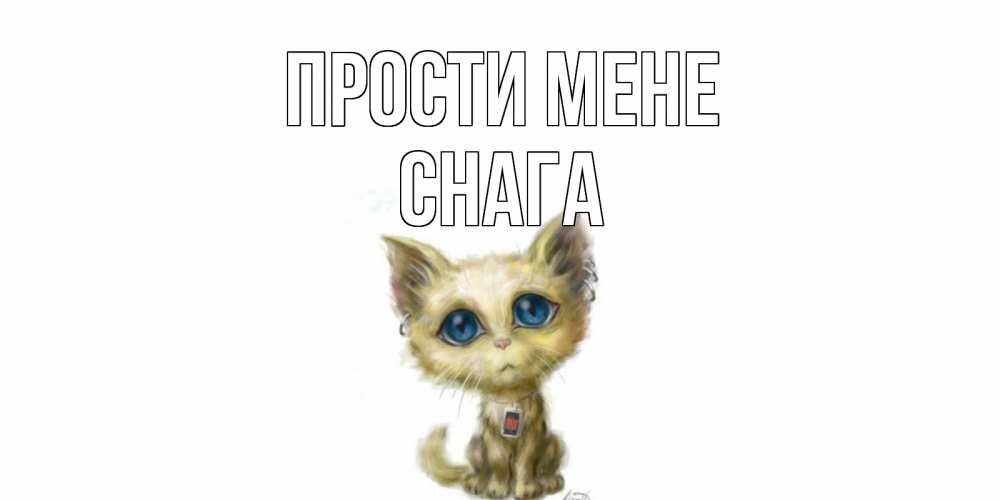 Открытка на каждый день з підписом, Снага Прости мене прости меня открытка с котиком Прикольна листівка з побажанням онлайн скачати безкоштовно 