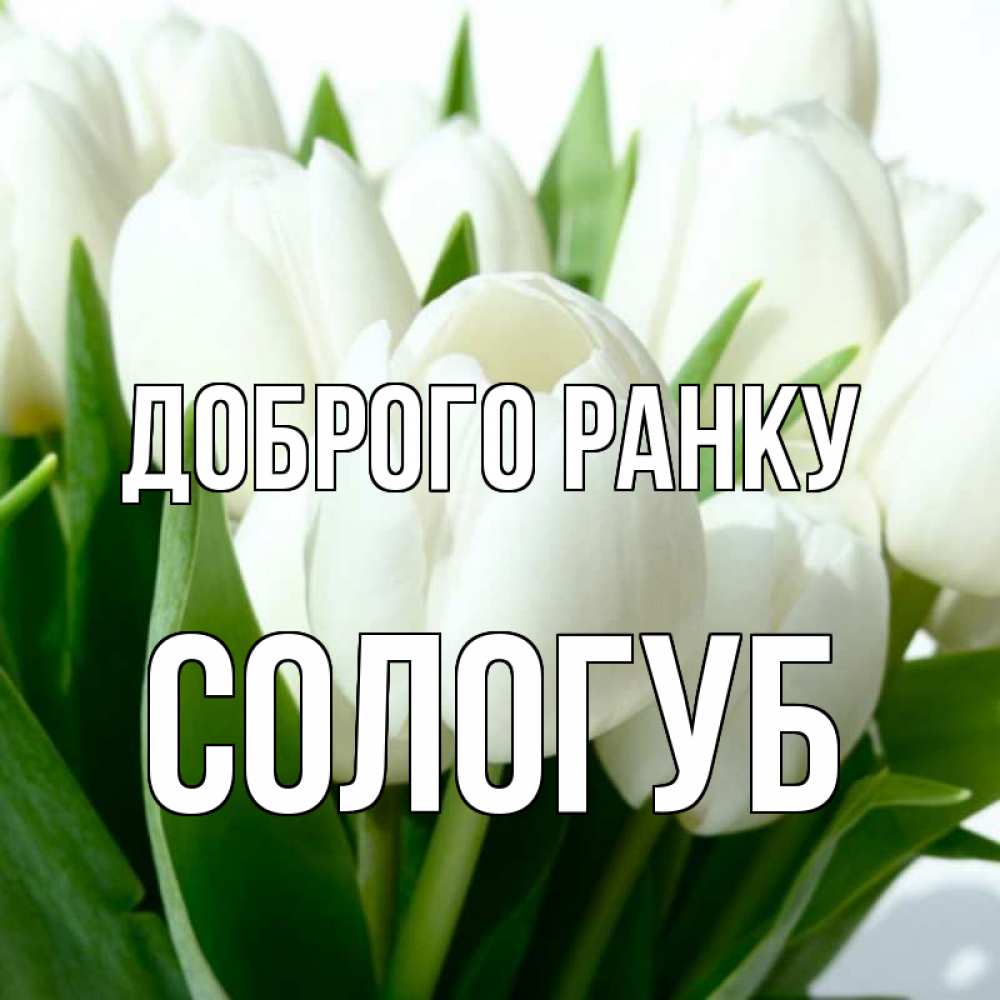 Открытка на каждый день з підписом, Сологуб Доброго ранку открытки на каждый день по именам Прикольна листівка з побажанням онлайн скачати безкоштовно 
