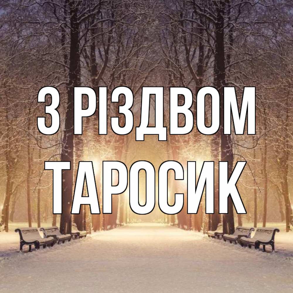 Открытка на каждый день з підписом, Таросик З Різдвом зима, парк, фонарь, лес Прикольна листівка з побажанням онлайн скачати безкоштовно 