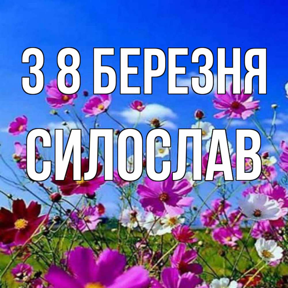 Открытка на каждый день з підписом, Силослав З 8 БЕРЕЗНЯ цветы Прикольна листівка з побажанням онлайн скачати безкоштовно 
