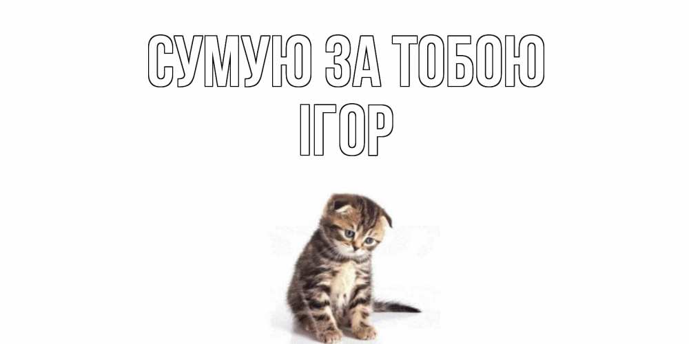 Открытка на каждый день з підписом, Ігор Сумую за тобою кот Прикольна листівка з побажанням онлайн скачати безкоштовно 
