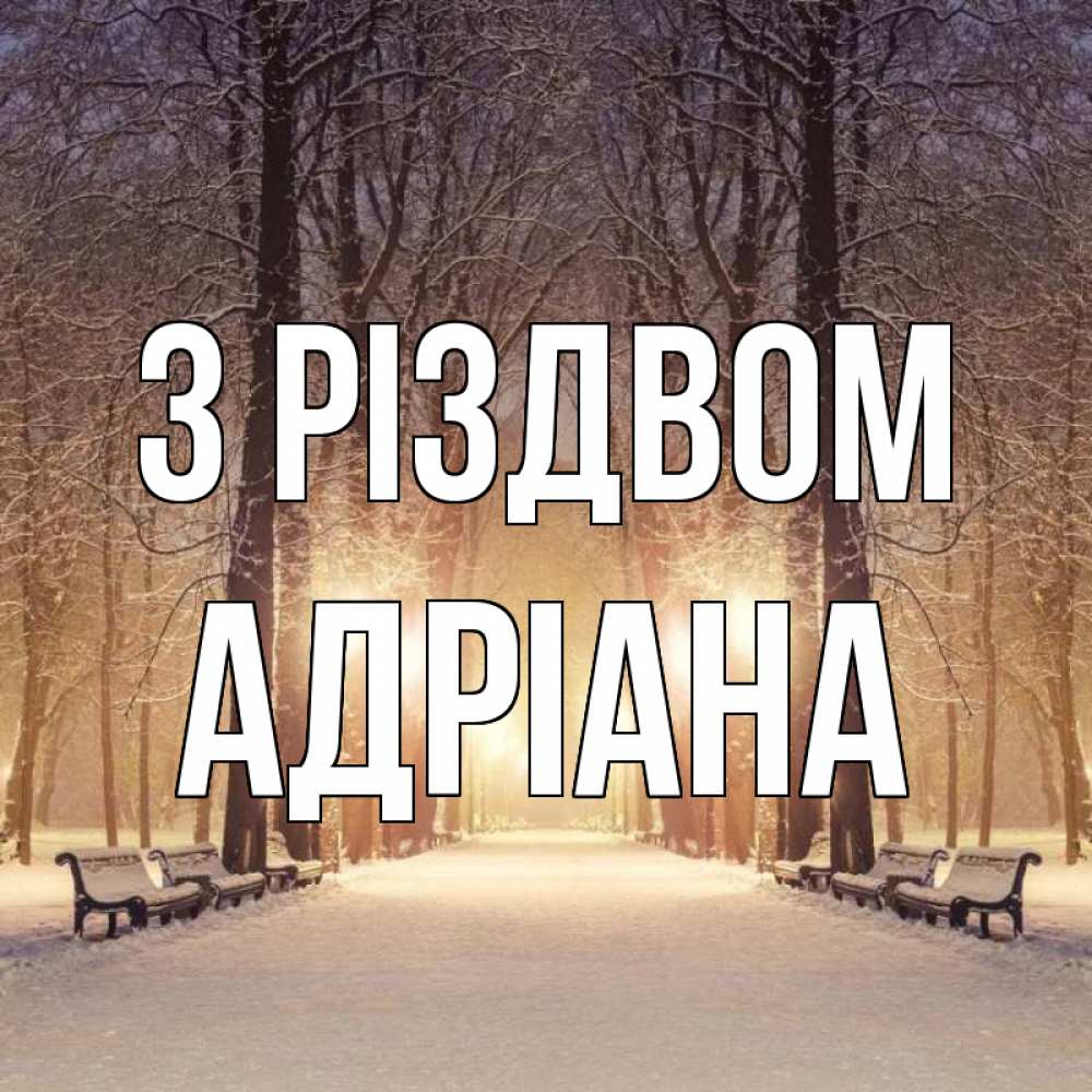 Открытка на каждый день з підписом, Адріана З Різдвом зима, парк, фонарь, лес Прикольна листівка з побажанням онлайн скачати безкоштовно 