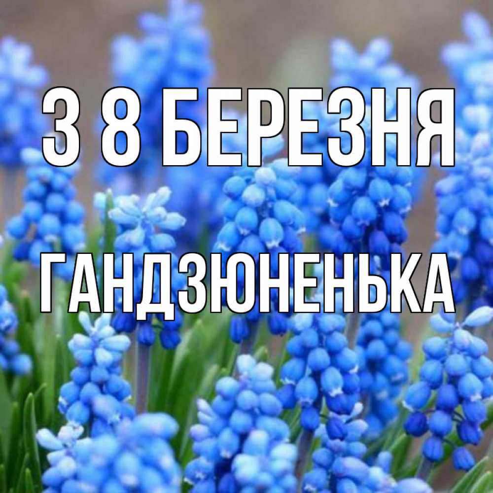 Открытка на каждый день з підписом, Гандзюненька З 8 БЕРЕЗНЯ Поздравительная открытка для женщин с цветами на праздничную дату Прикольна листівка з побажанням онлайн скачати безкоштовно 