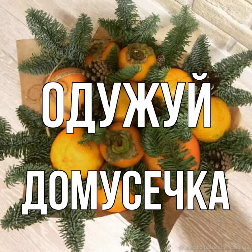 Открытка на каждый день з підписом, Домусечка Одужуй апельсины и хурьма Прикольна листівка з побажанням онлайн скачати безкоштовно 