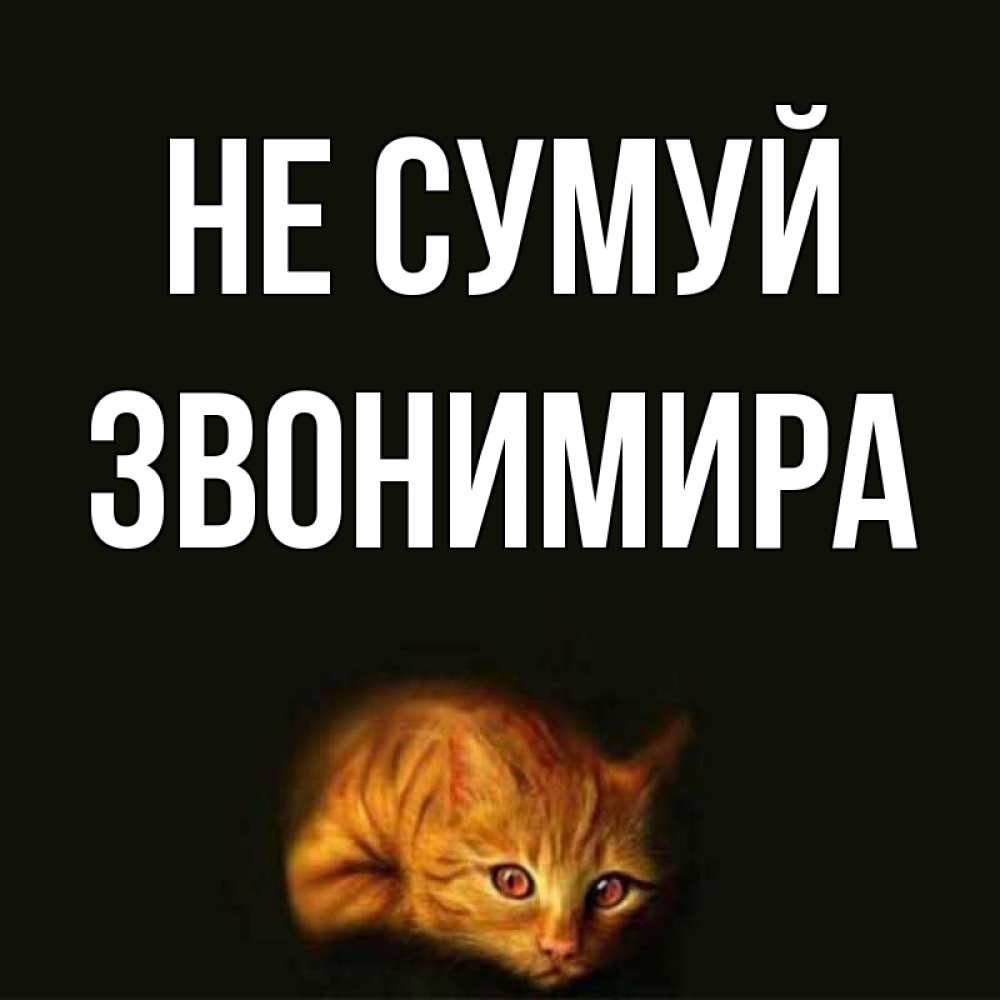 Открытка на каждый день з підписом, Звонимира Не сумуй лежащий кот в темноте Прикольна листівка з побажанням онлайн скачати безкоштовно 