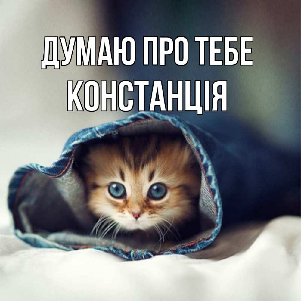 Открытка на каждый день з підписом, Констанція Думаю про тебе мне без тебя плохо Прикольна листівка з побажанням онлайн скачати безкоштовно 