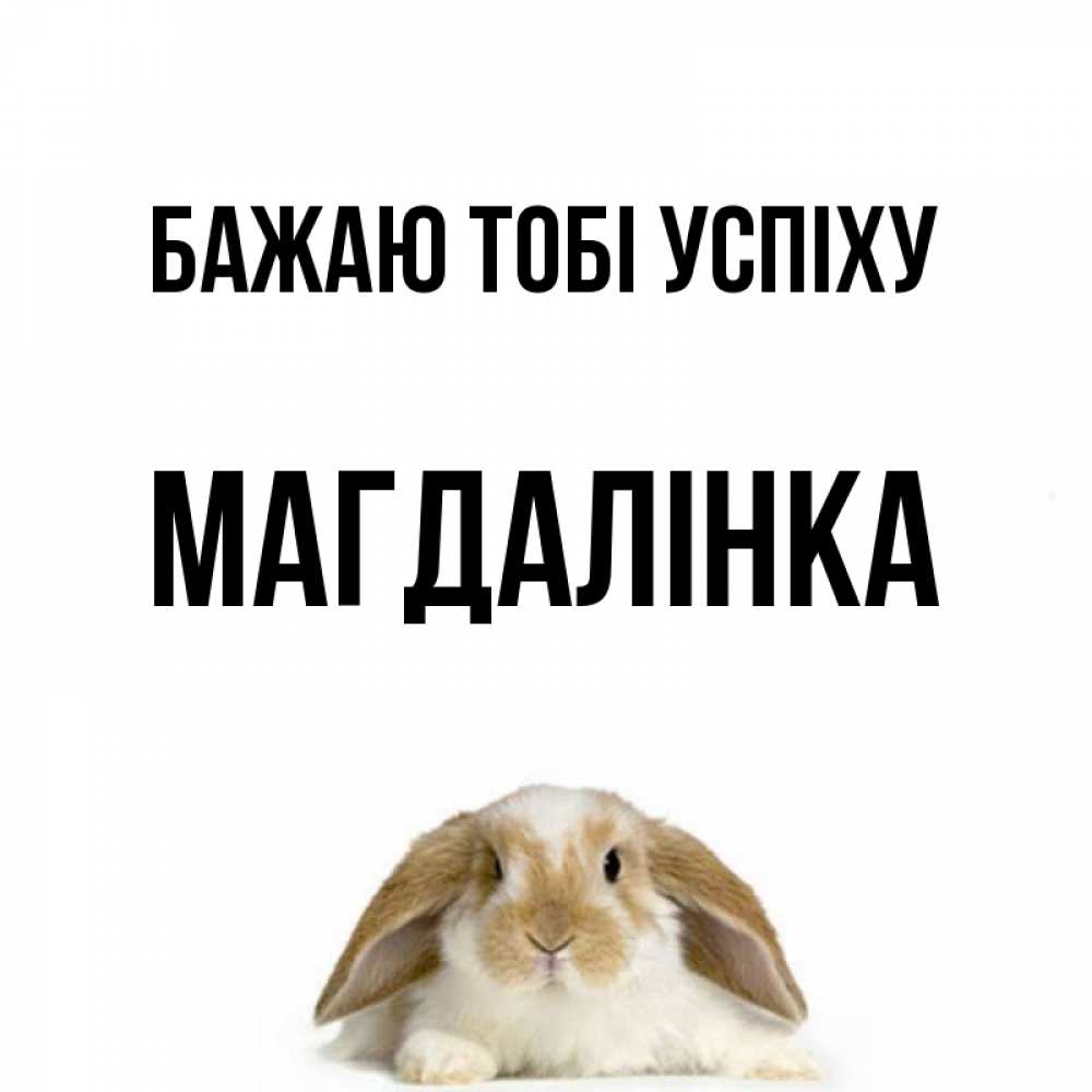 Открытка на каждый день з підписом, Магдалінка Бажаю тобі успіху открытки с произвольным текстом который можно вставить в открытку и создать ее самостоятельно бесплатно онлайн Прикольна листівка з побажанням онлайн скачати безкоштовно 