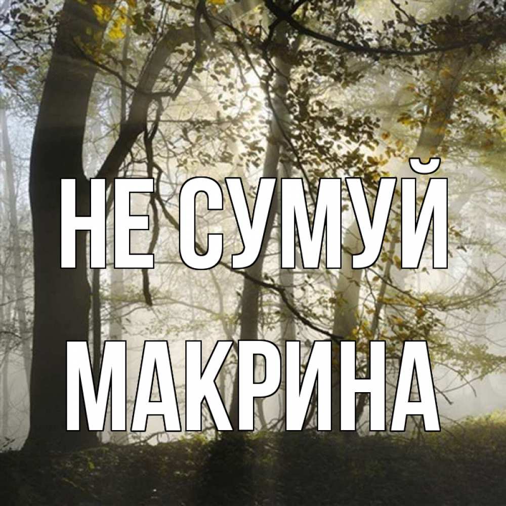 Открытка на каждый день з підписом, Макрина Не сумуй лес и свет Прикольна листівка з побажанням онлайн скачати безкоштовно 