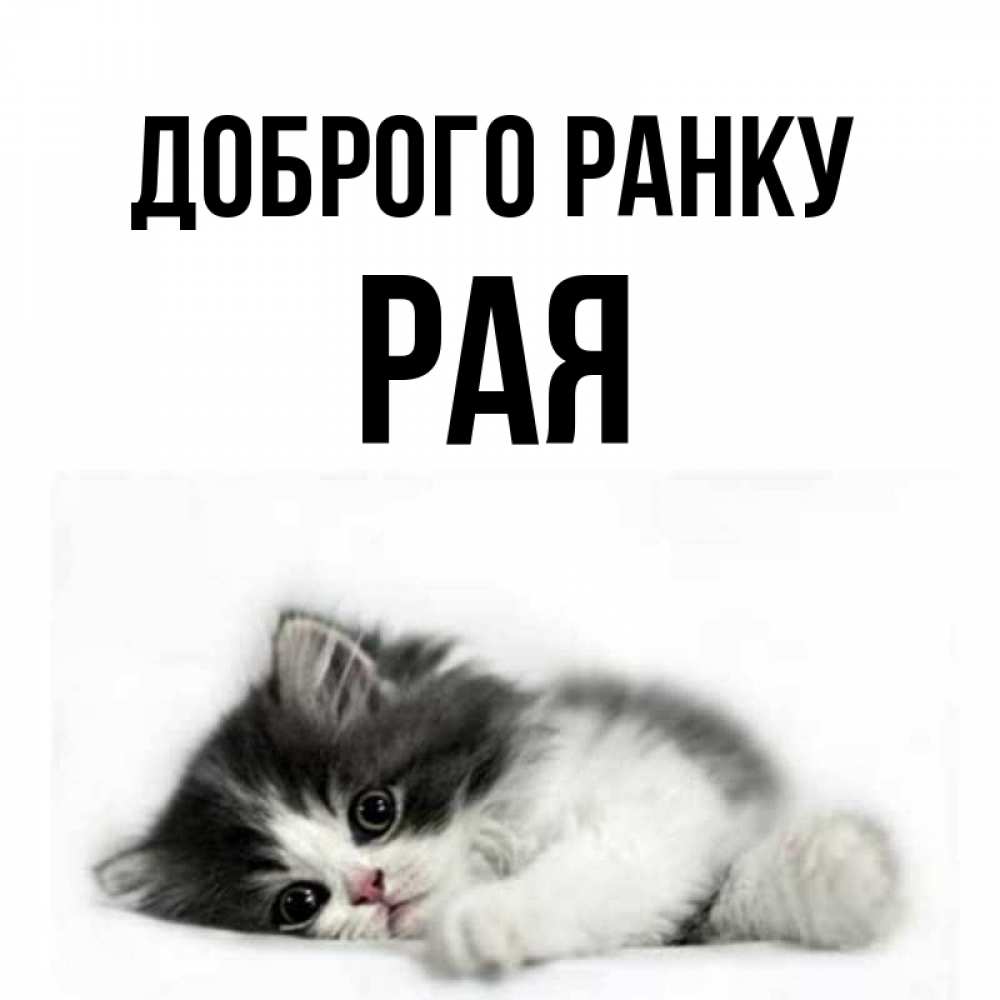 Открытка на каждый день з підписом, Рая Доброго ранку кот лапки Прикольна листівка з побажанням онлайн скачати безкоштовно 