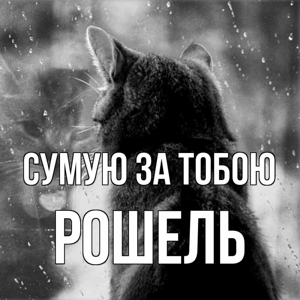 Открытка на каждый день з підписом, Рошель Сумую за тобою скорее ко мне приходи 1 Прикольна листівка з побажанням онлайн скачати безкоштовно 