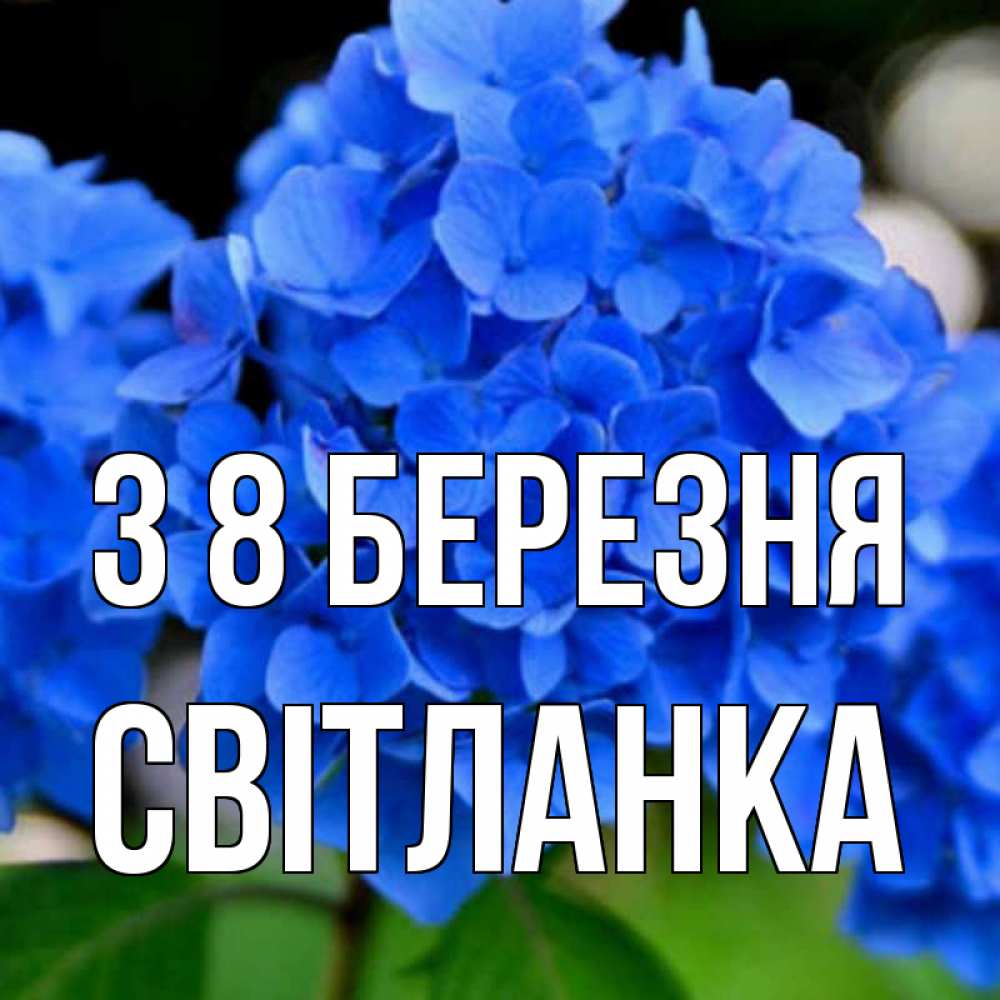 Открытка на каждый день з підписом, Світланка З 8 БЕРЕЗНЯ синие цветы Прикольна листівка з побажанням онлайн скачати безкоштовно 