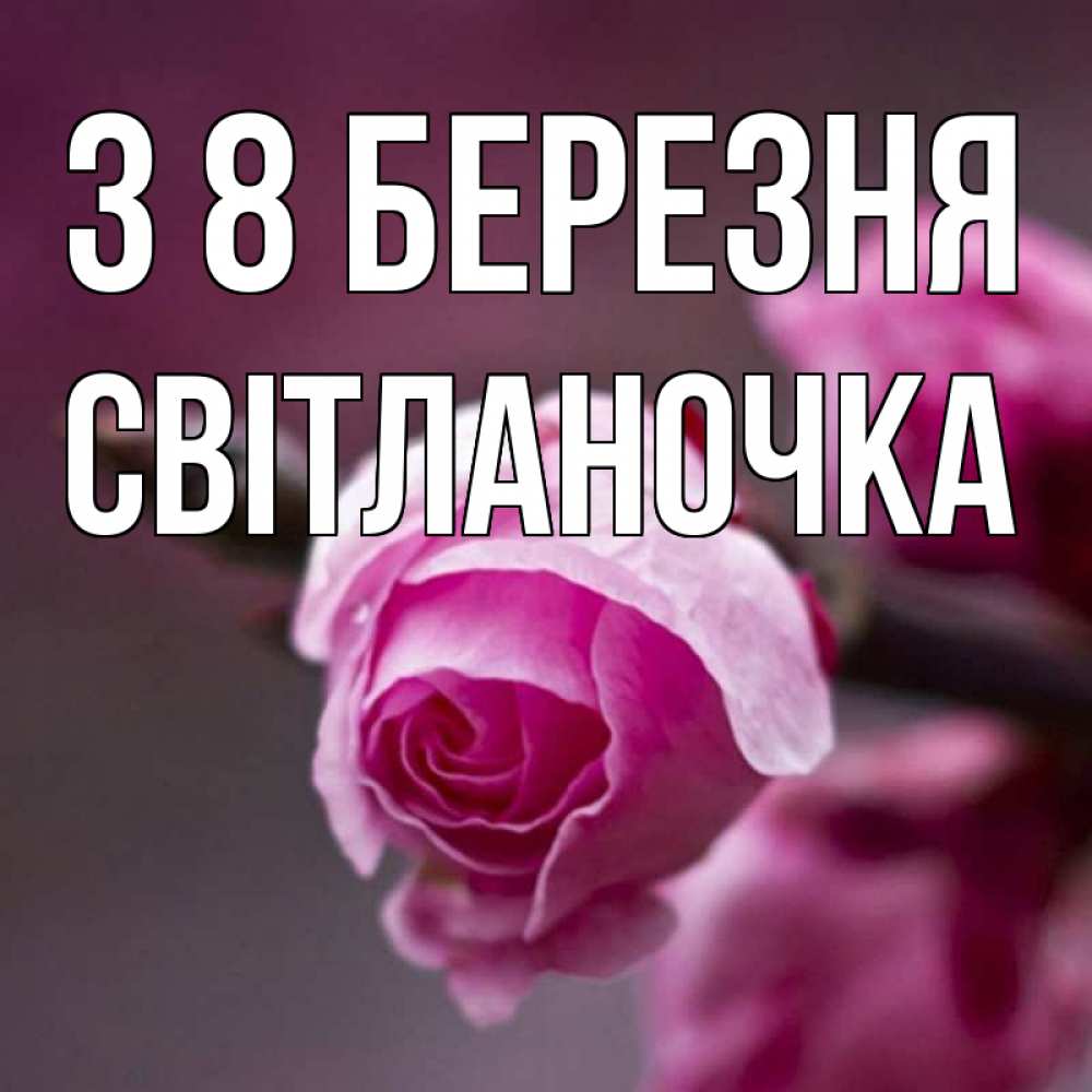 Открытка на каждый день з підписом, Світланочка З 8 БЕРЕЗНЯ весна Прикольна листівка з побажанням онлайн скачати безкоштовно 