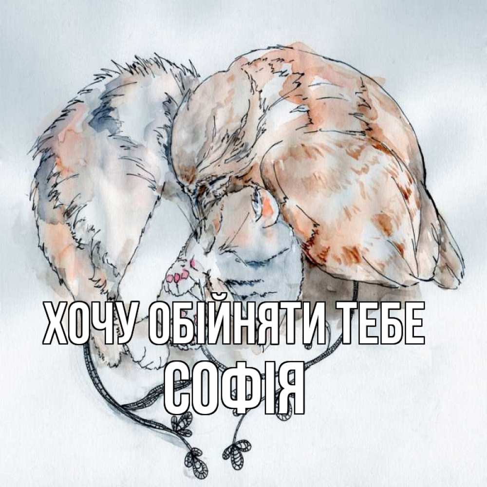 Открытка на каждый день з підписом, Софія Хочу обійняти тебе можно быть вместе даже когда очень разные Прикольна листівка з побажанням онлайн скачати безкоштовно 