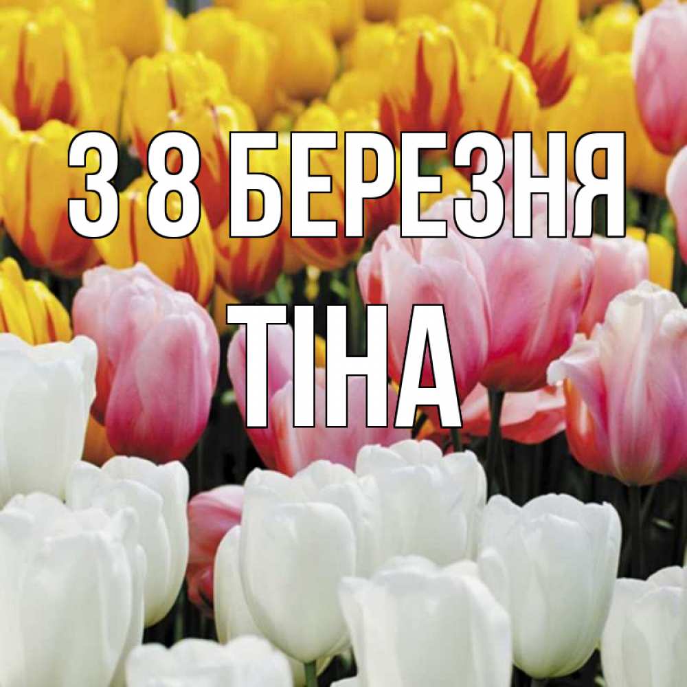 Открытка на каждый день з підписом, Тіна З 8 БЕРЕЗНЯ разноцветные цветы Прикольна листівка з побажанням онлайн скачати безкоштовно 
