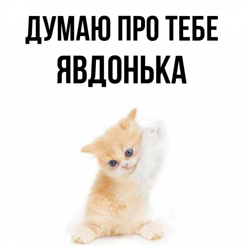 Открытка на каждый день з підписом, Явдонька Думаю про тебе зверушки и милота Прикольна листівка з побажанням онлайн скачати безкоштовно 