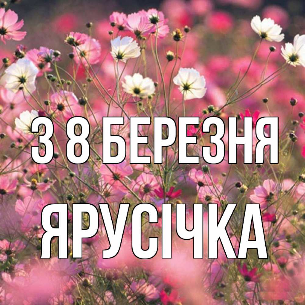 Открытка на каждый день з підписом, Ярусічка З 8 БЕРЕЗНЯ красиво 1 Прикольна листівка з побажанням онлайн скачати безкоштовно 