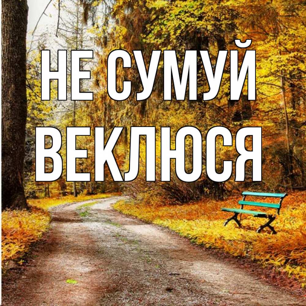 Открытка на каждый день з підписом, Веклюся Не сумуй зеленая лавочка Прикольна листівка з побажанням онлайн скачати безкоштовно 
