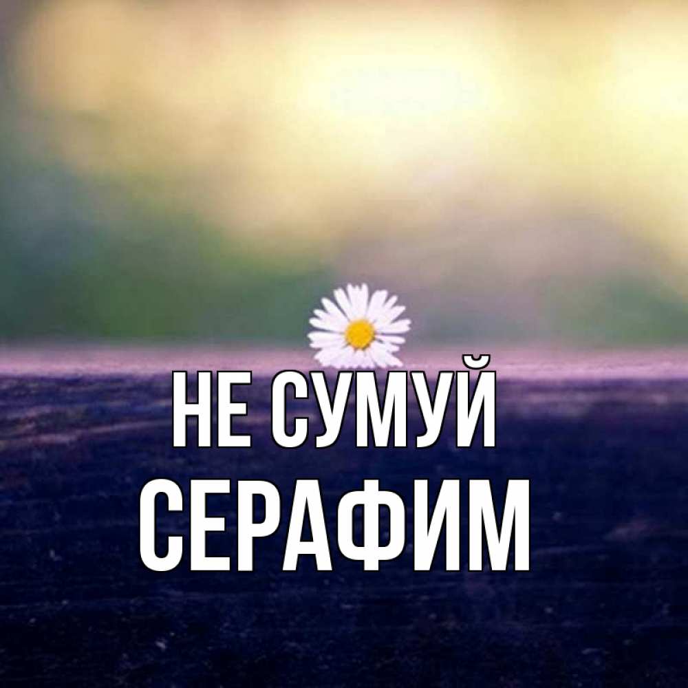 Открытка на каждый день з підписом, Серафим Не сумуй красота Прикольна листівка з побажанням онлайн скачати безкоштовно 