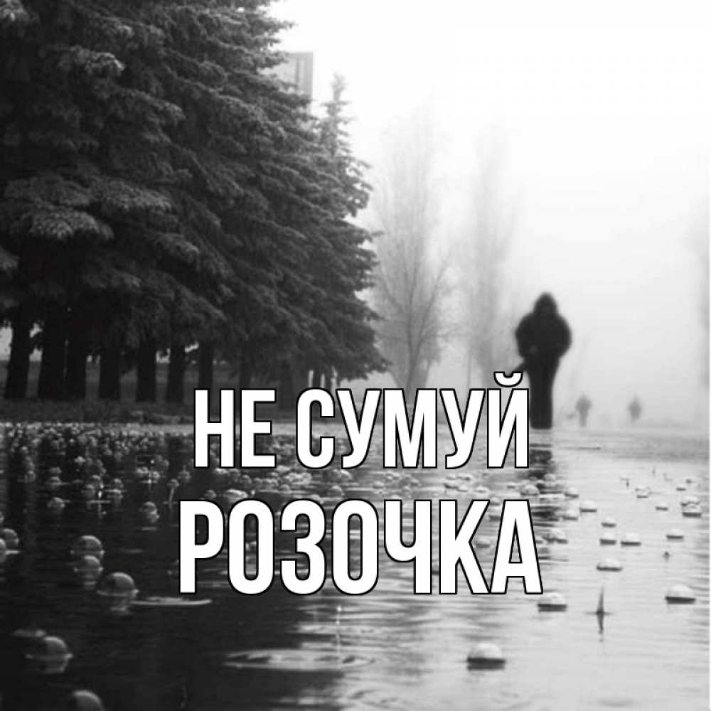 Открытка на каждый день з підписом, Розочка Не сумуй улица под дождем Прикольна листівка з побажанням онлайн скачати безкоштовно 