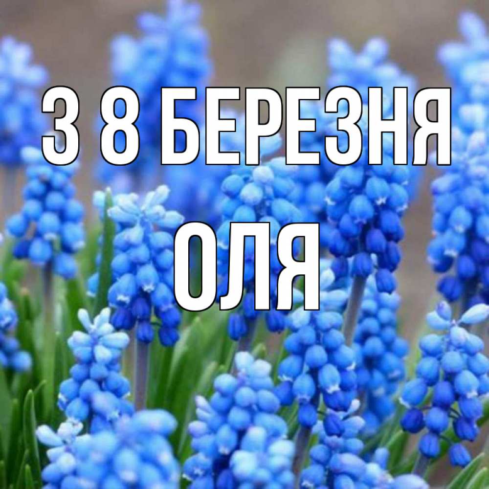 Открытка на каждый день з підписом, Оля З 8 БЕРЕЗНЯ Поздравительная открытка для женщин с цветами на праздничную дату Прикольна листівка з побажанням онлайн скачати безкоштовно 