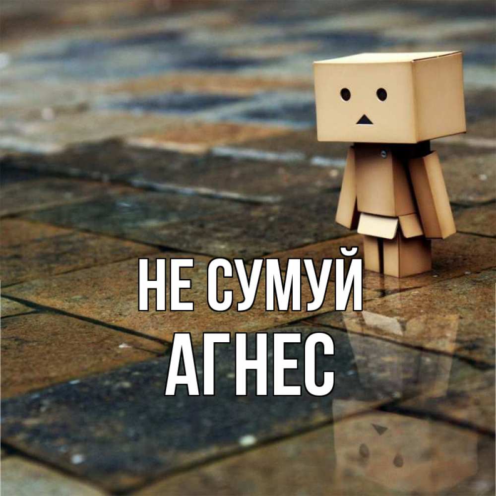 Открытка на каждый день з підписом, Агнес Не сумуй Стив Прикольна листівка з побажанням онлайн скачати безкоштовно 