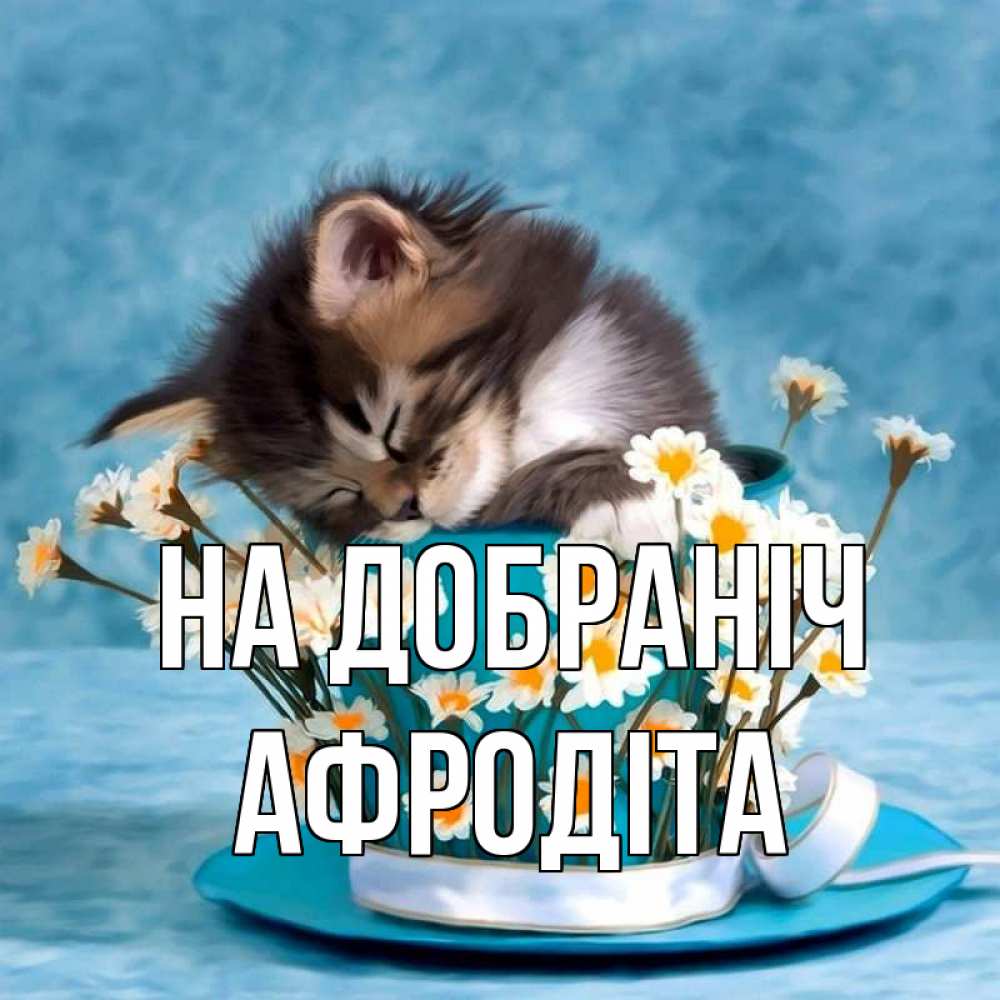 Открытка на каждый день з підписом, Афродіта На добраніч котенок спит в кружке с блюдцем Прикольна листівка з побажанням онлайн скачати безкоштовно 